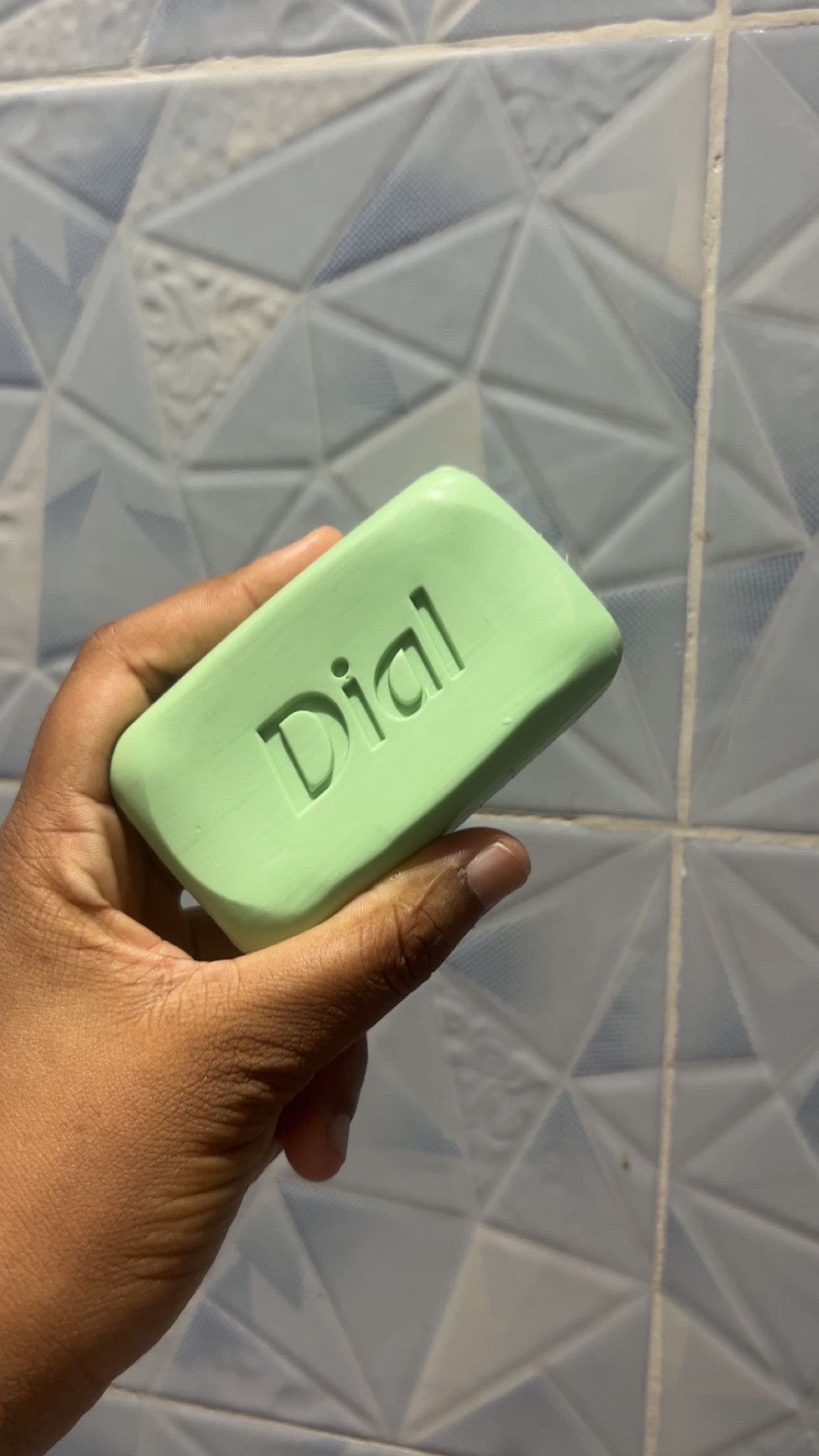 img_8058 savon Dial Antibacterial Mountain Fresh (1 savon) – Image 1